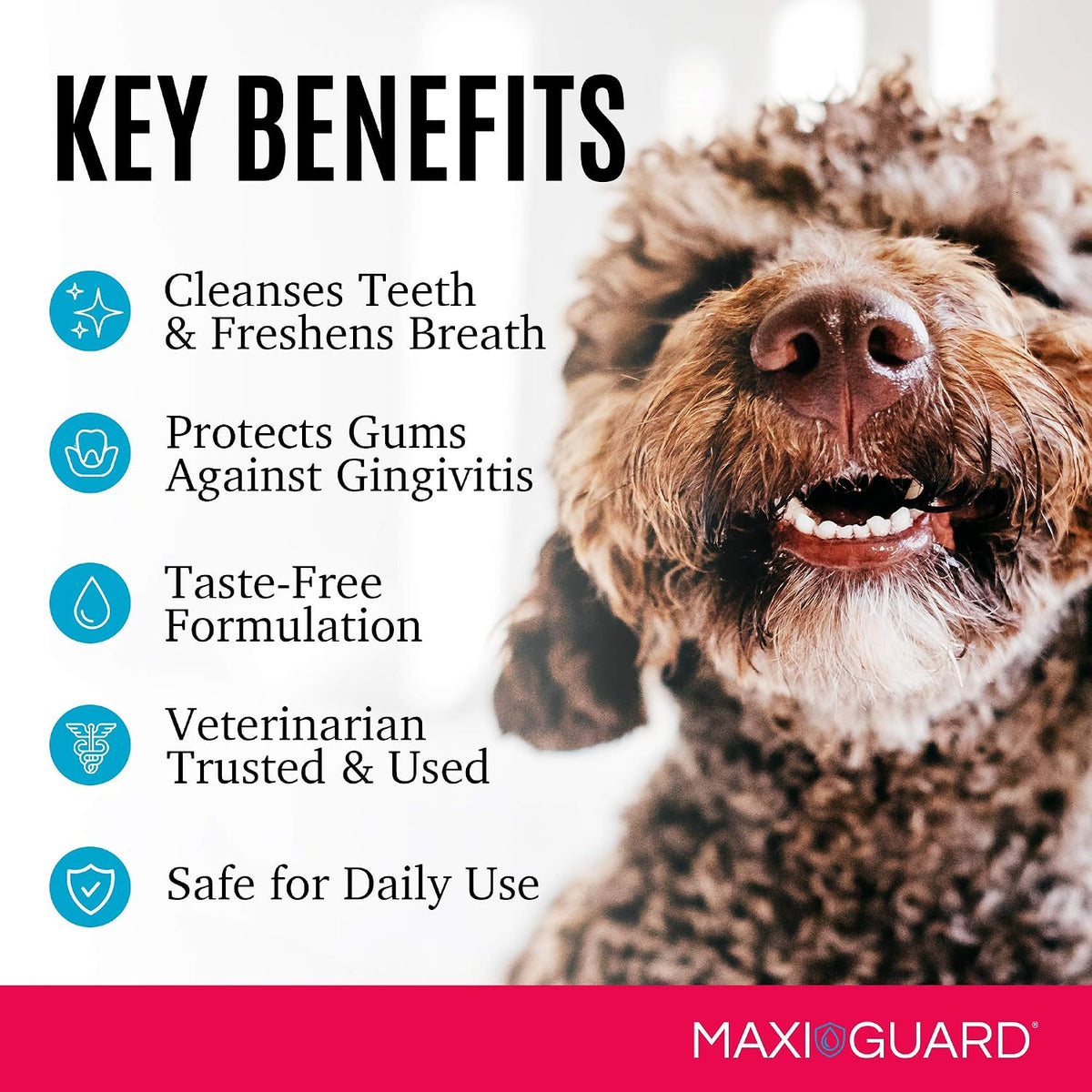 Maxi/Guard OraZn Dental Care Gel for Dogs & Cats, 2 oz