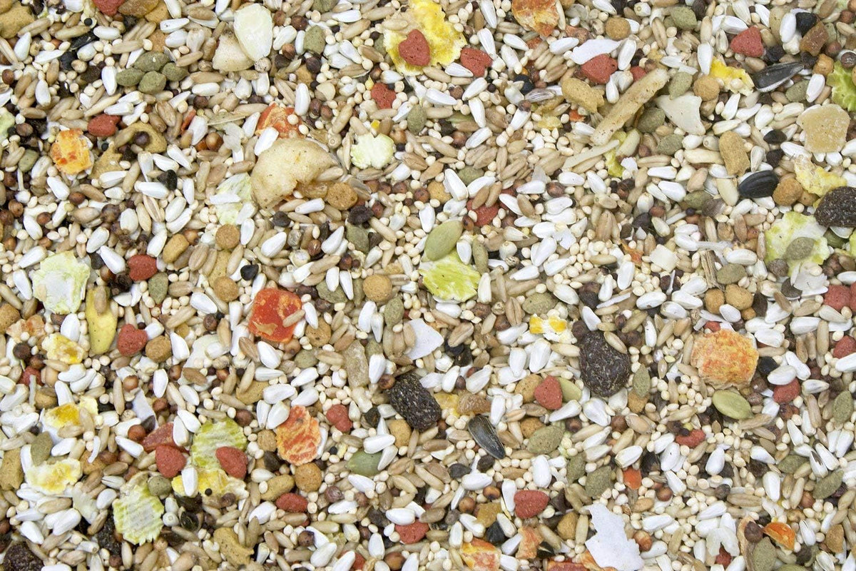 Higgins Safflower Gold Conure & Cockatiel Food, 2 x 3 lb