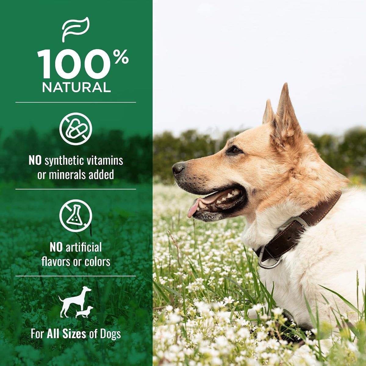 Nature's Logic Beef Tendon Chew for Dogs