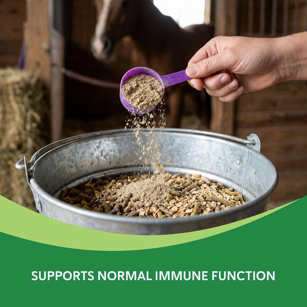 Heave Ho Respiratory & Immune Support Supplement for Horses