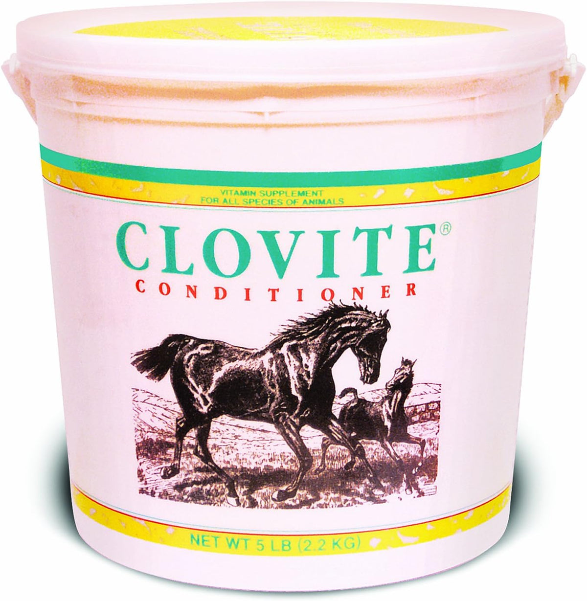 Clovite Conditioner Vitamin Supplement for Horses & Dogs, 5 lb