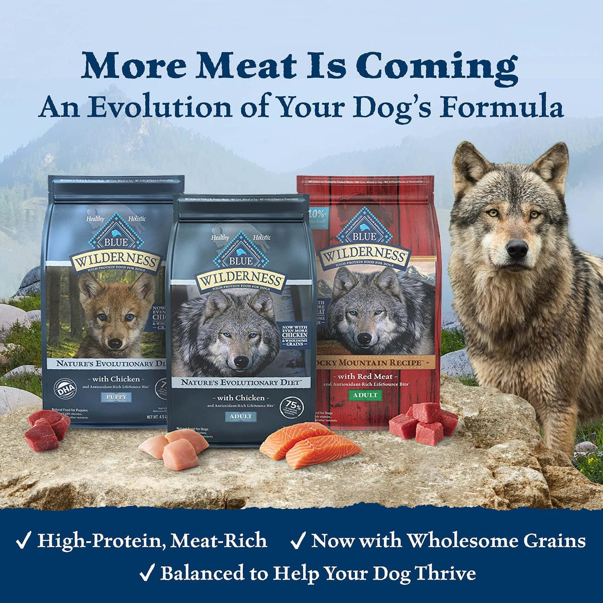 Blue Buffalo Wilderness Rocky Mountain Recipe Puppy Dry Dog Food, 4 lb