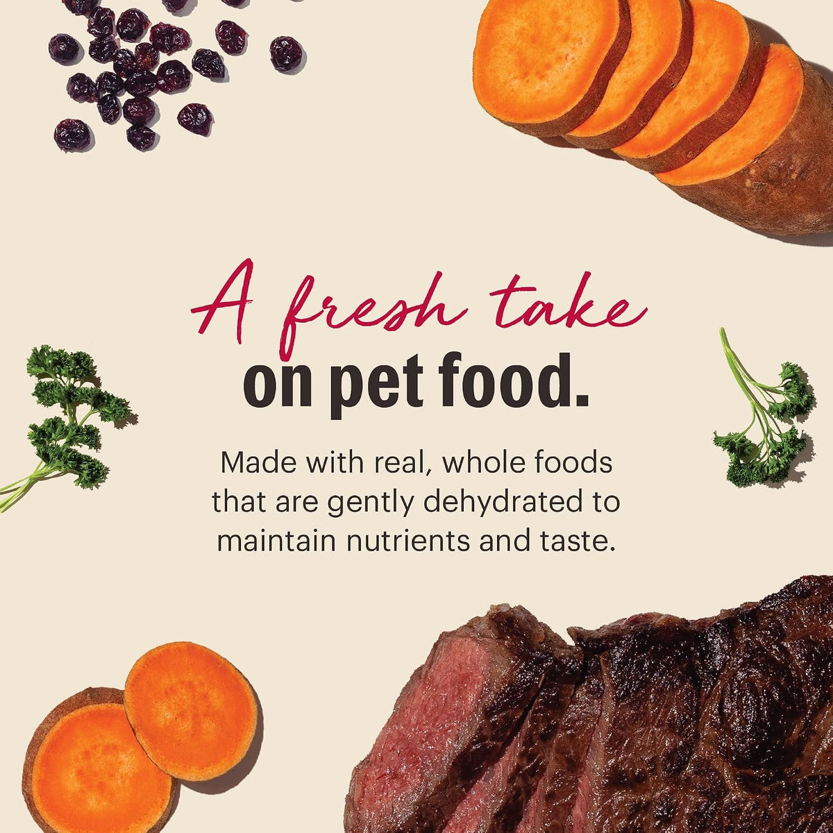 The Honest Kitchen Wholemade Grain Free Beef Recipe Dehydrated Dog Food, 10 lb