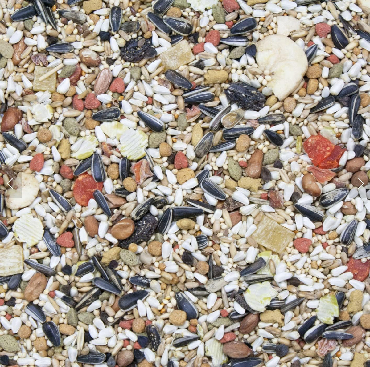 Higgins Vita Seed Conure & Lovebird Food, 2 x 5 lb