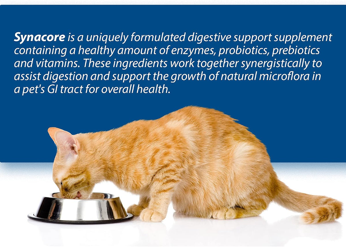 Van Beek Synacore Digestive & Immune Support for Cats, 30 ct