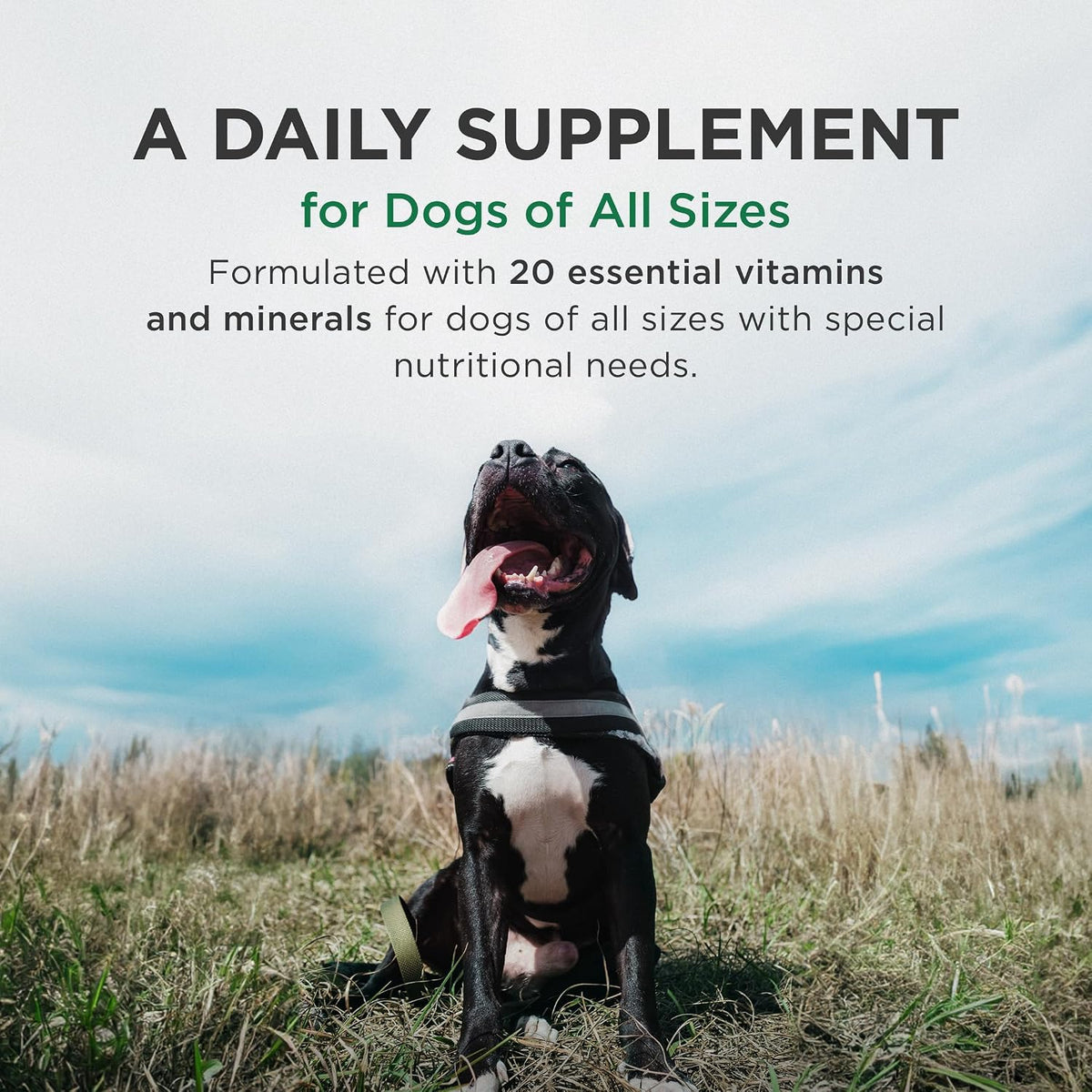 Pet-Tabs Plus Multivitamin for Active & Senior Dogs
