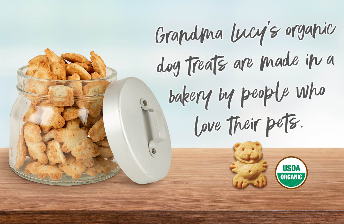 Grandma Lucy's Organic Banana & Sweet Potato Oven-Baked Dog Treats