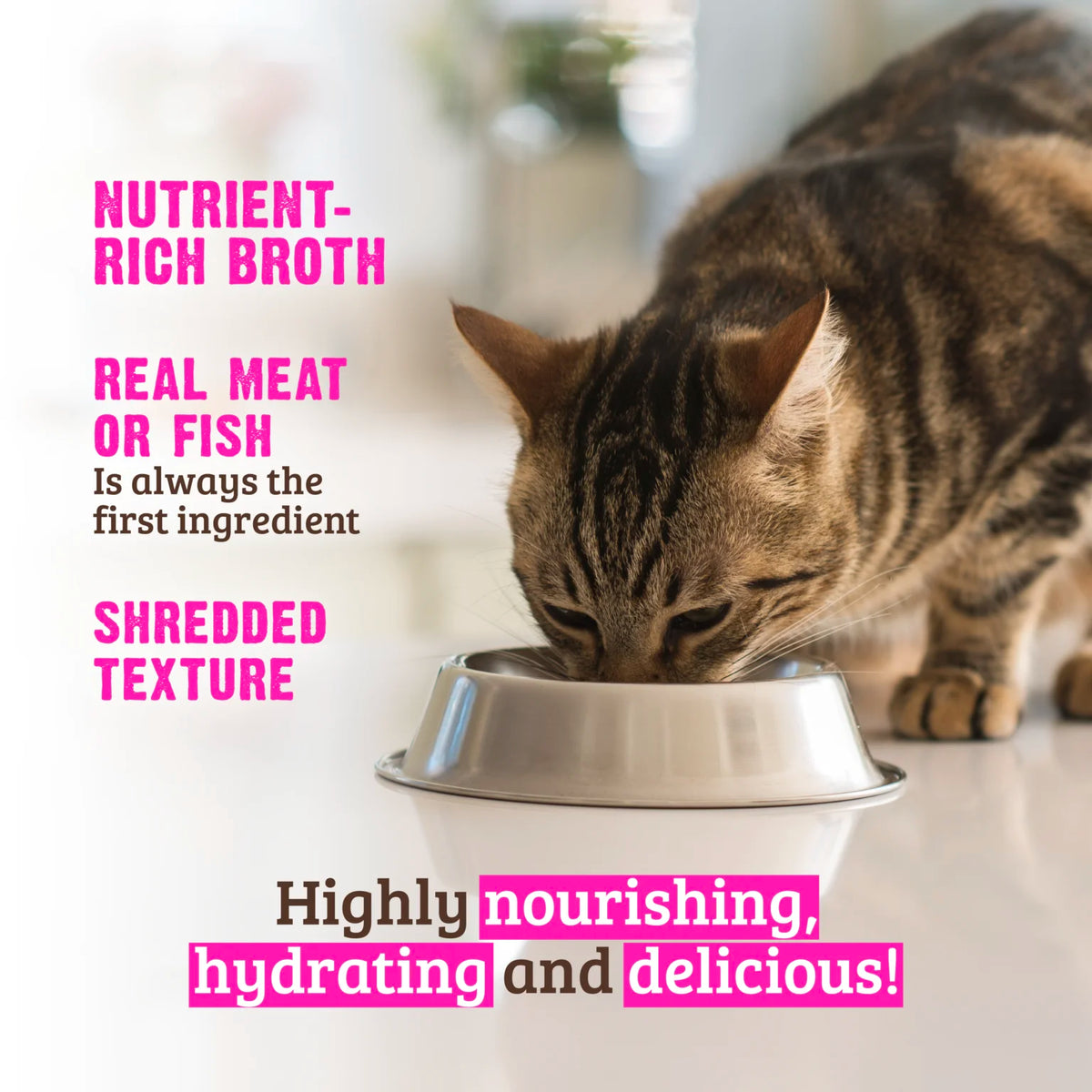 RAWZ Aujou Aku Tuna & Salmon Recipe Cat Food – lifestyle photo