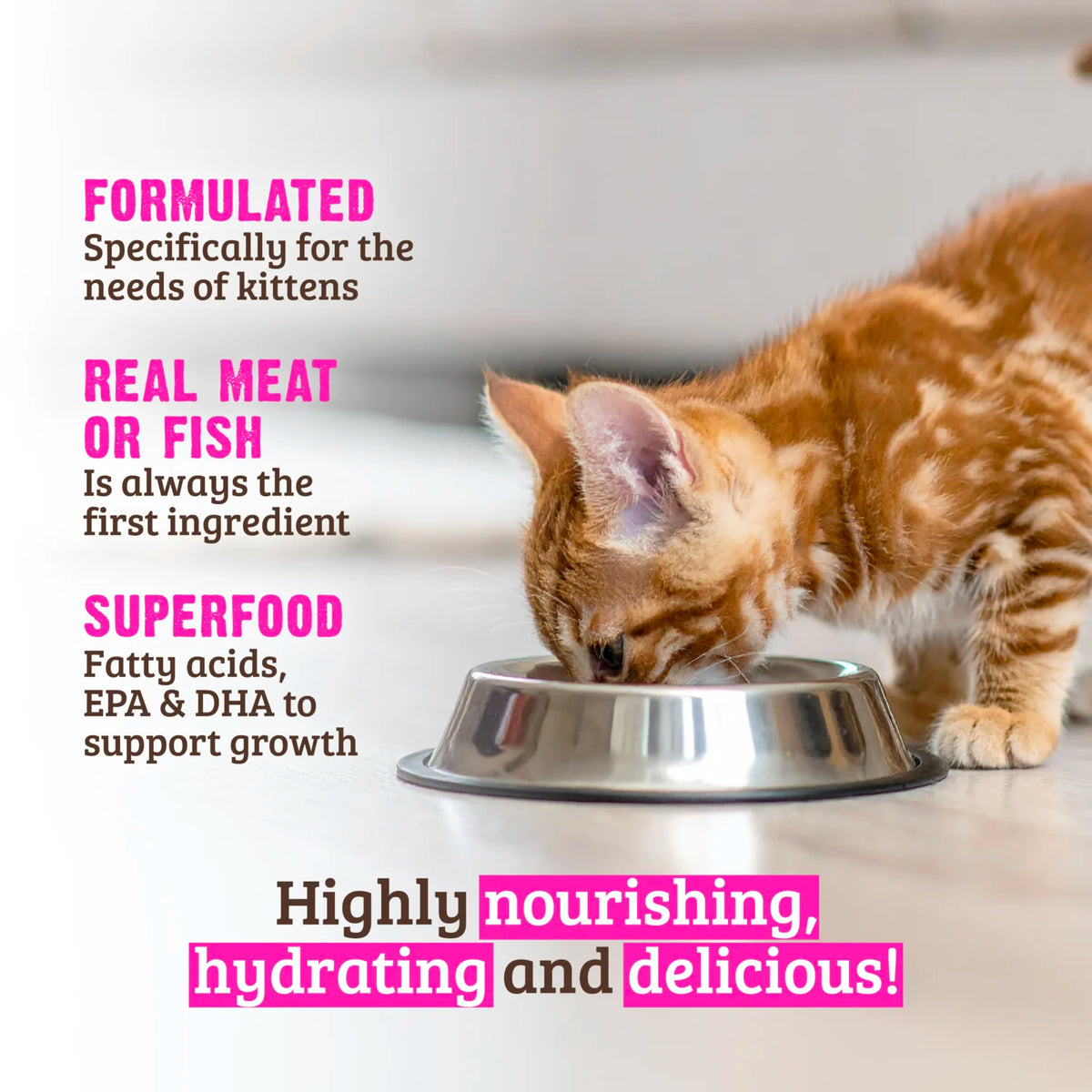 RAWZ Kitten Chicken & Chicken Liver Cat Food – lifestyle photo