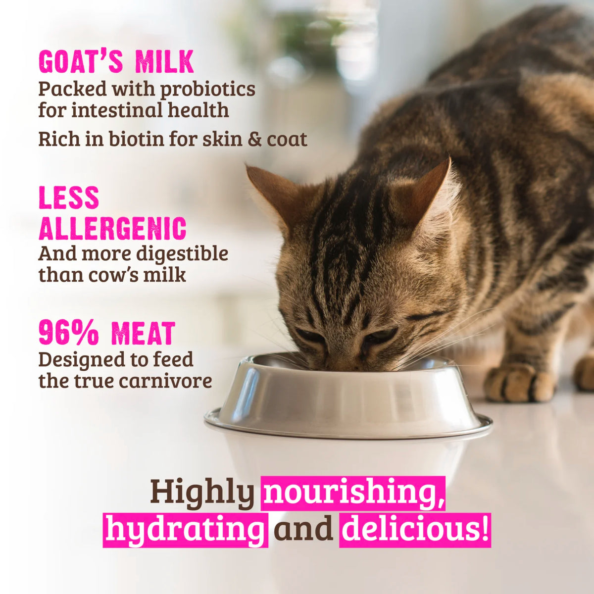 RAWZ 96% Rabbit with Goat's Milk Canned Cat Food – lifestyle photo