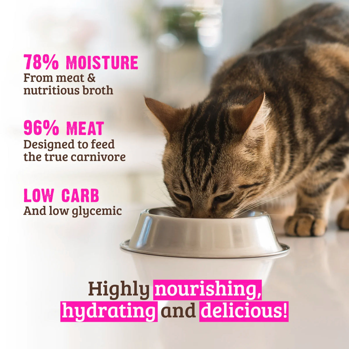 RAWZ 96% Chicken & Herring Pate Cat Food – lifestyle photo