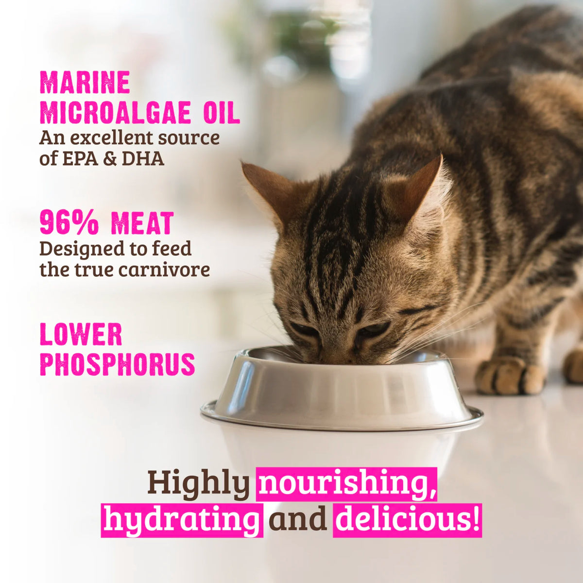 RAWZ Lower Phosphorus Tuna & Salmon Canned Cat Food – lifestyle photo
