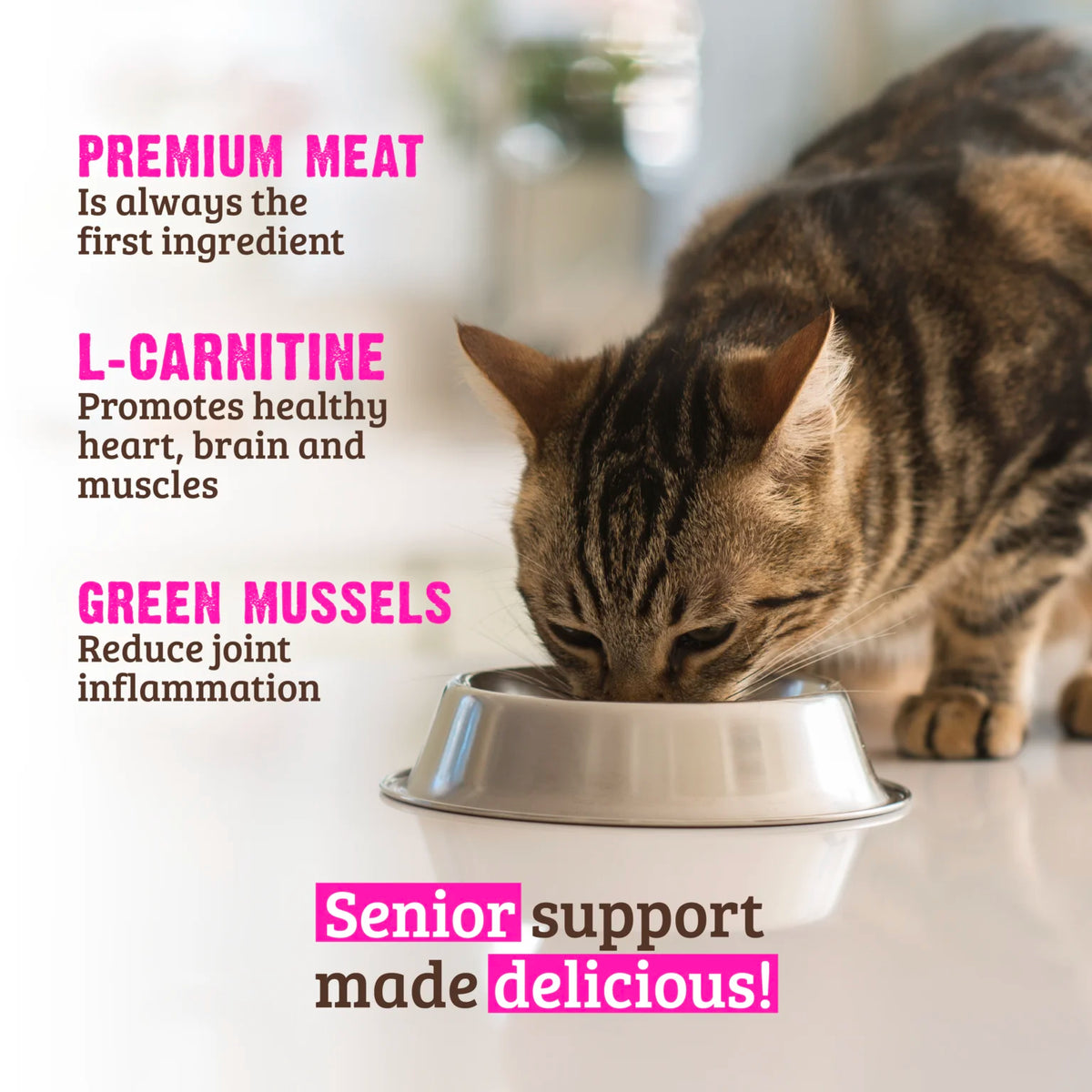 RAWZ Senior Turkey, Pumpkin & New Zealand Green Mussels Cat Food – lifestyle photo