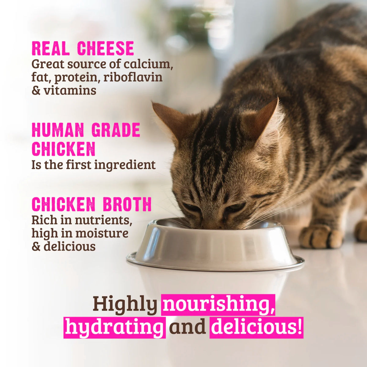 RAWZ Shredded Pouch Chicken Breast & Cheese Cat Food Recipe – lifestyle photo