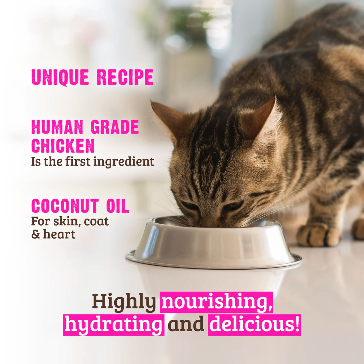 RAWZ Shredded Pouch Chicken Breast & Coconut Oil Cat Food Recipe – lifestyle photo