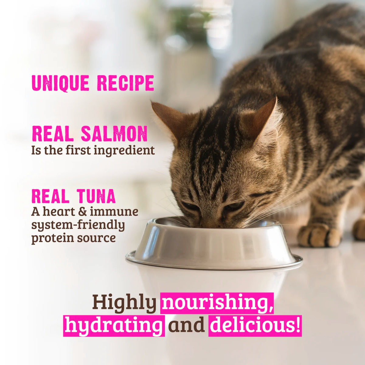 RAWZ Shredded Pouch Salmon, Aku Tuna & Tuna Oil Cat Food Recipe – lifestyle photo