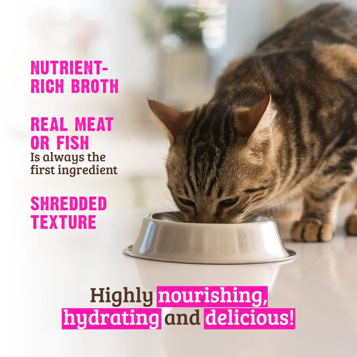 RAWZ Shredded Tuna & Chicken Cat Food Recipe – lifestyle photo