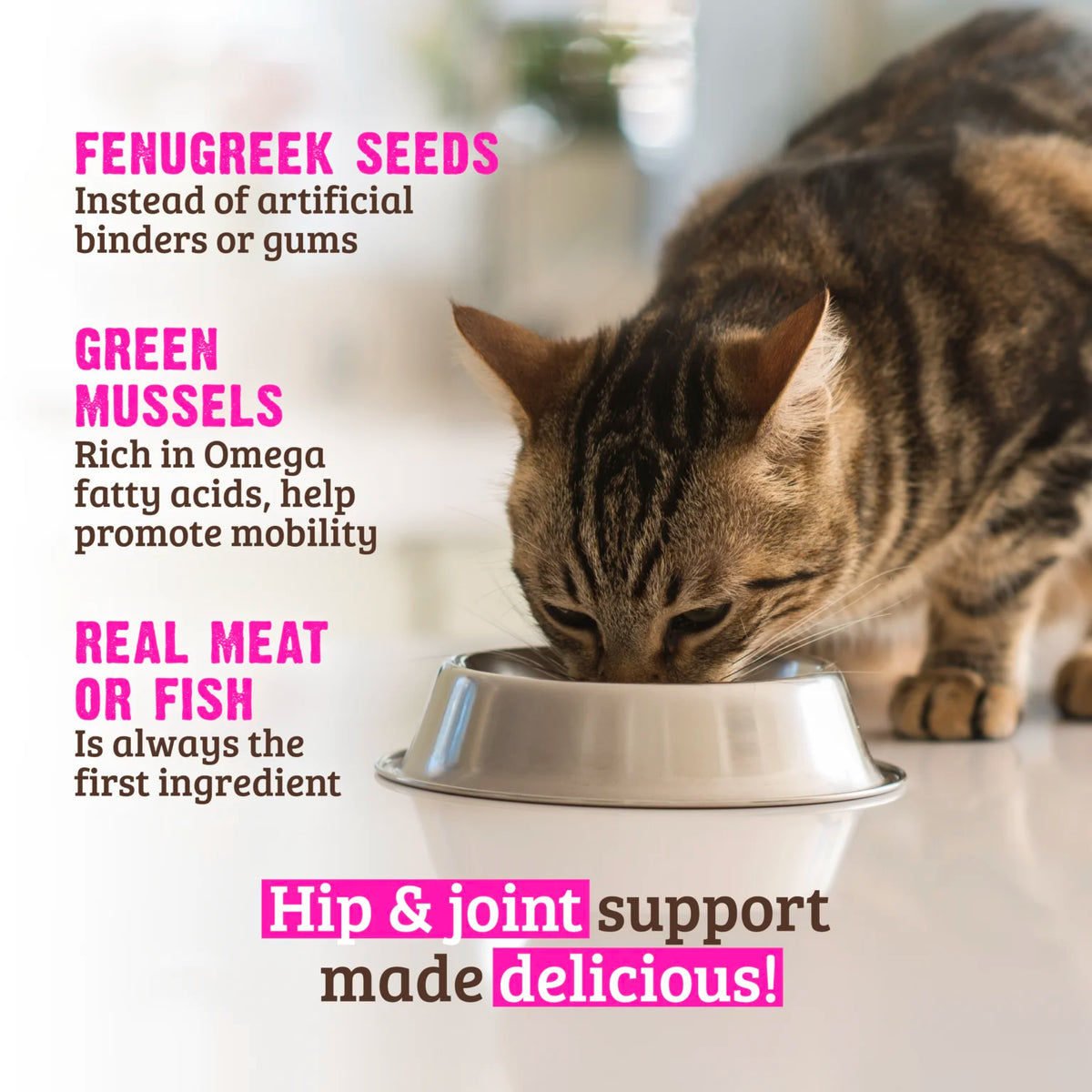 RAWZ Hip & Joint Support Chicken & Green Mussels Cat Food – lifestyle photo