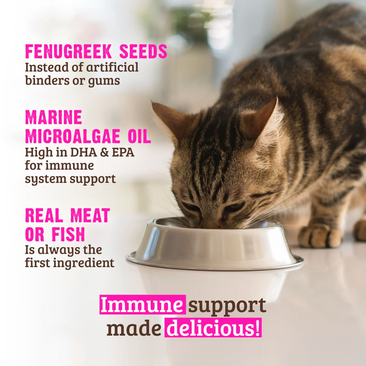 RAWZ Immune Support Salmon & Tuna Cat Food – lifestyle photo