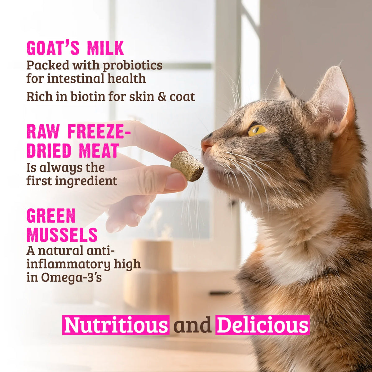 RAWZ Raw Freeze Dried Rabbit, Goat's Milk & Green Mussels Cat Treats – lifestyle photo