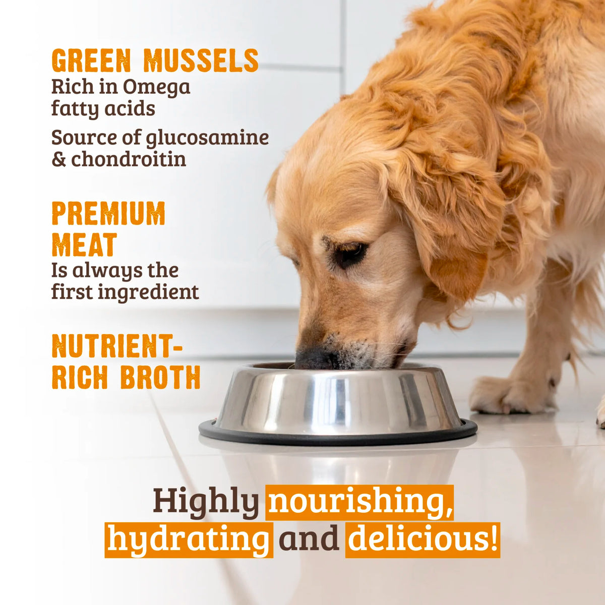 RAWZ Hunks In Broth Chicken Breast, Pumpkin & New Zealand Green Mussels Dog Food Recipe – lifestyle photo