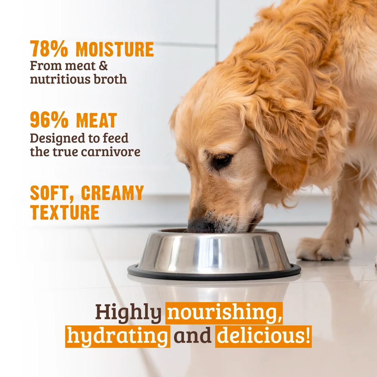 RAWZ 96% Duck, Turkey & Quail Dog Food – lifestyle photo