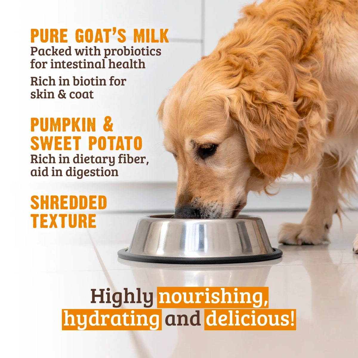 RAWZ Shredded Beef, Pumpkin, Sweet Potato & Goat's Milk Dog Food – lifestyle photo