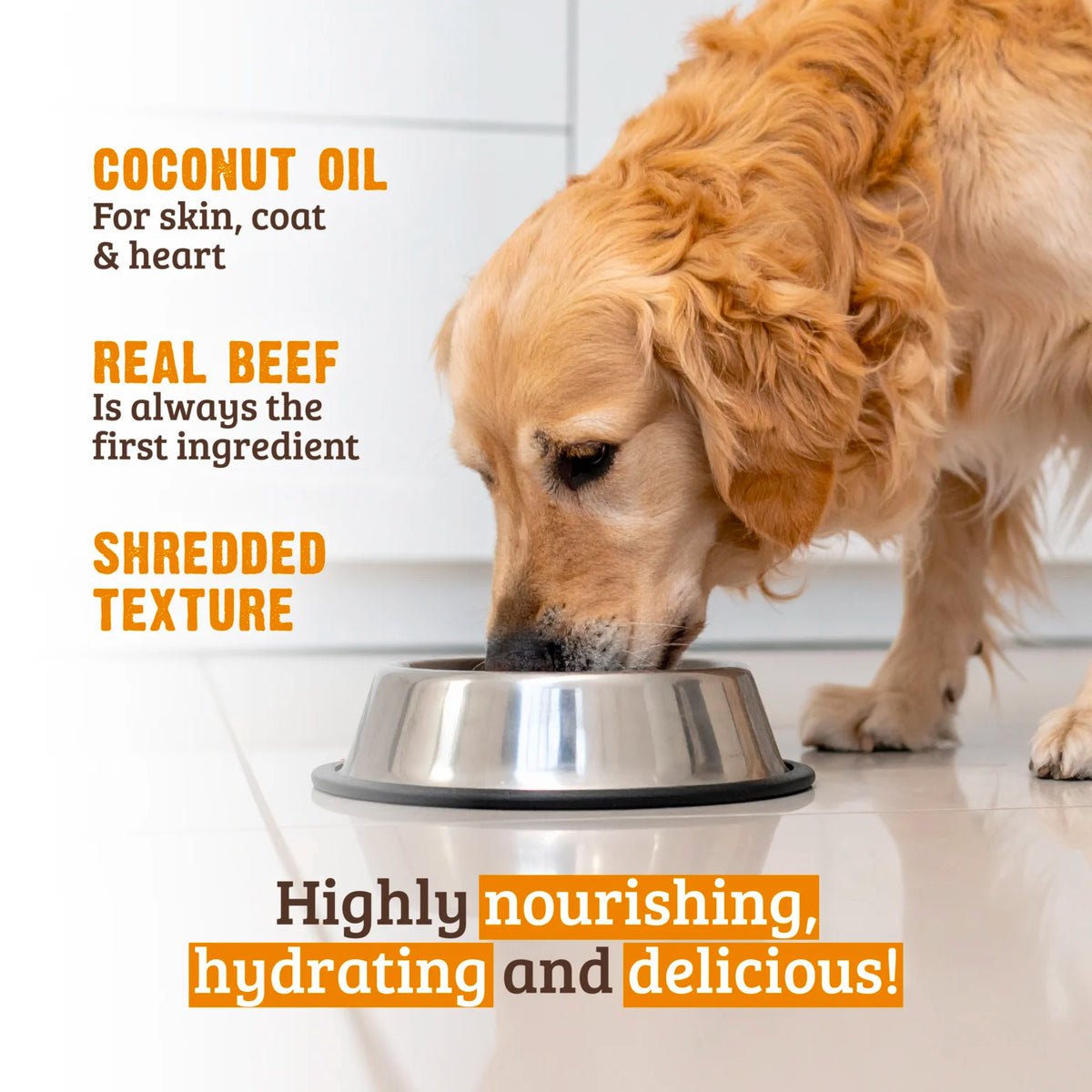 RAWZ Shredded Beef, Salmon & Coconut Oil Dog Food – lifestyle photo