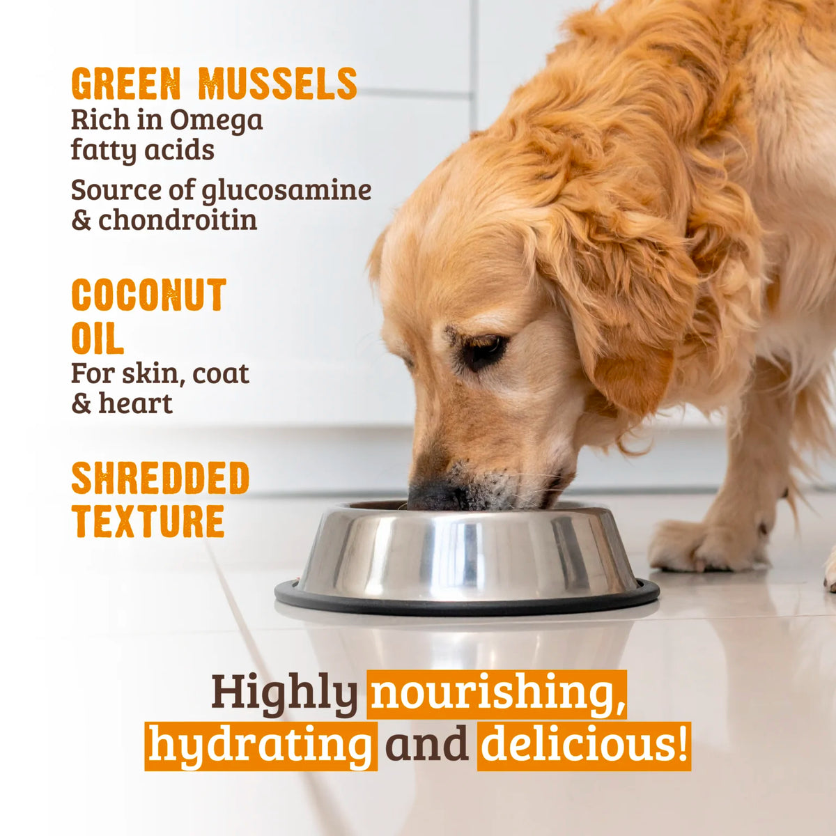 RAWZ Shredded Chicken Breast, Coconut Oil & New Zealand Green Mussels Dog Food – lifestyle photo