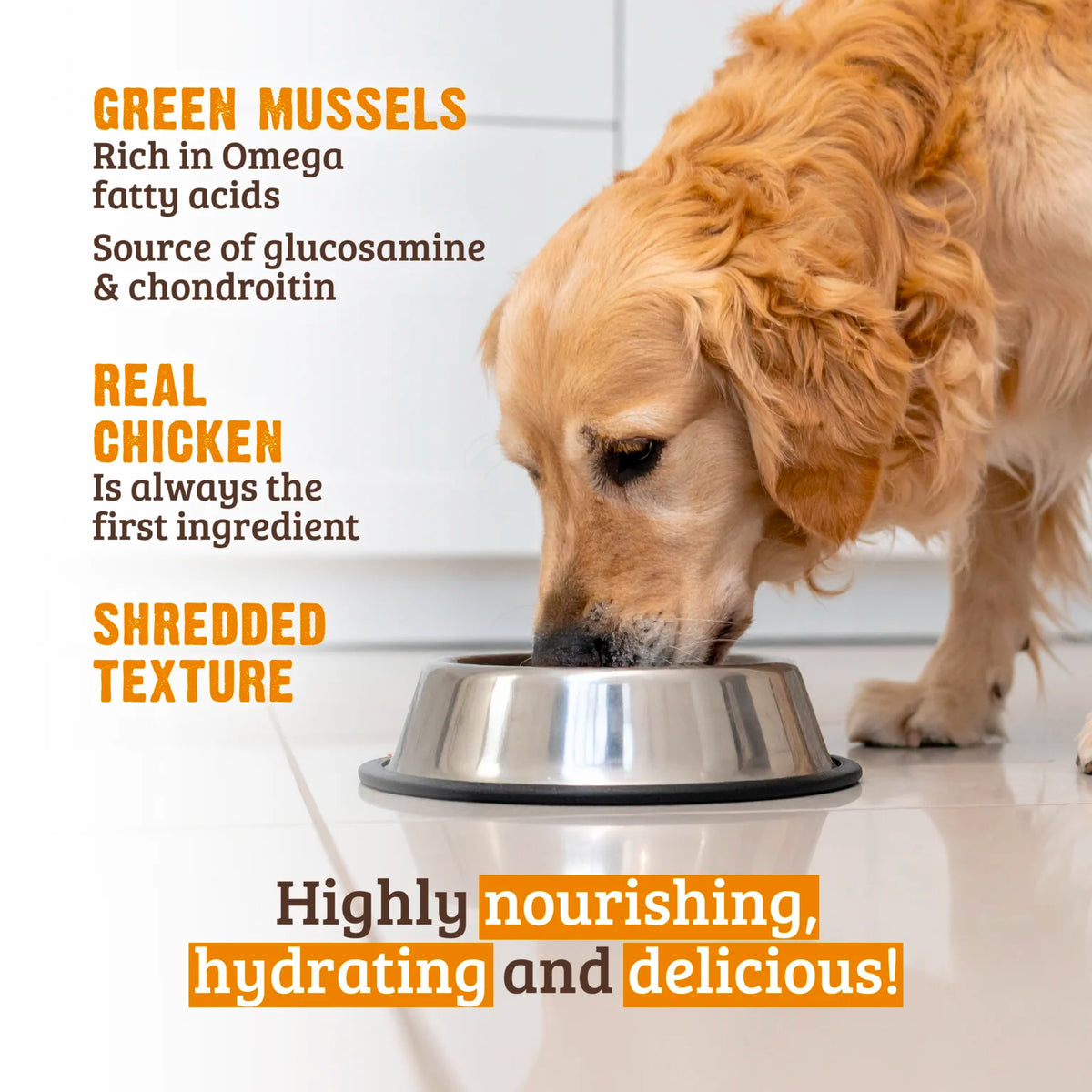 RAWZ Shredded Chicken Breast & New Zealand Green Mussels Dog Food Recipe – lifestyle photo