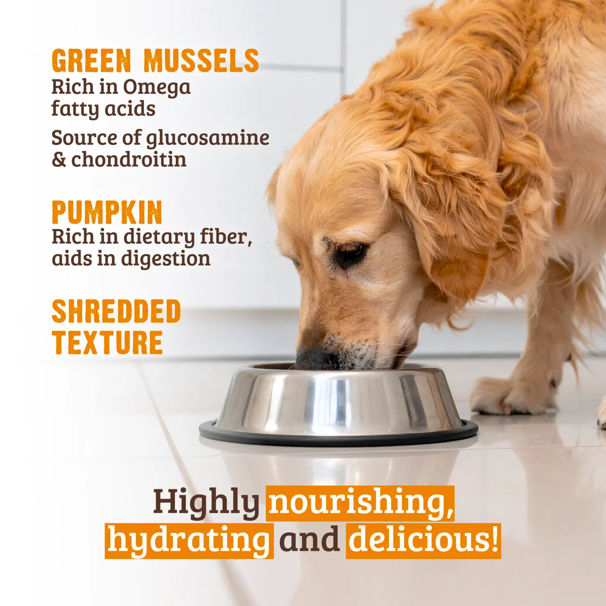 RAWZ Shredded Chicken Breast, Pumpkin & New Zealand Green Mussels Dog Food Recipe – lifestyle photo
