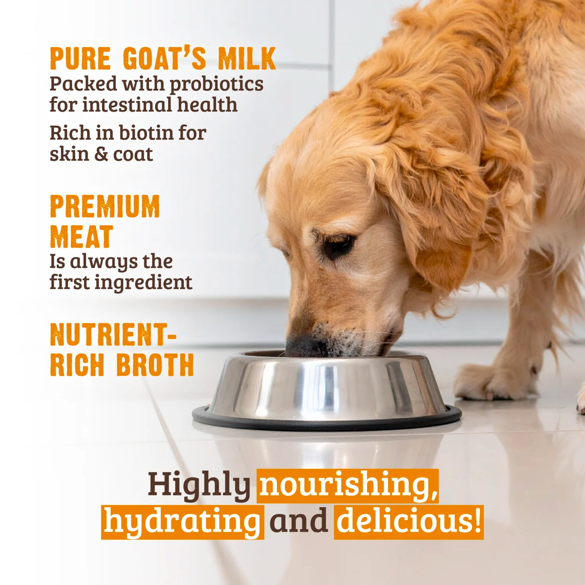 RAWZ Stew - Chicken, Beef & Goat's Milk Dog Food – lifestyle photo