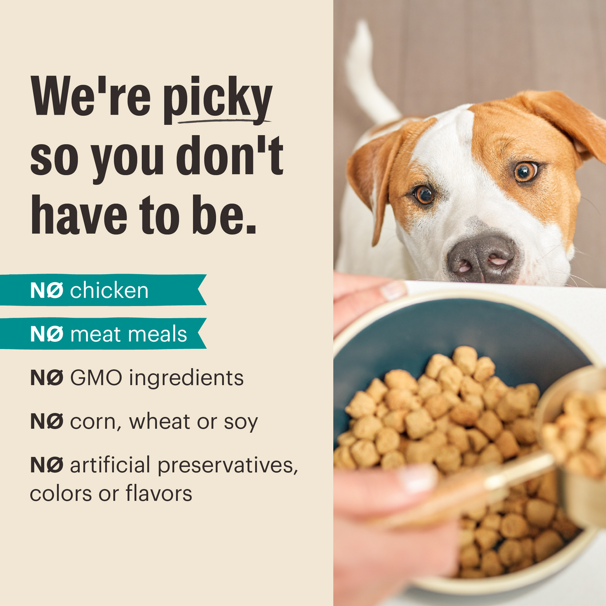 The Honest Kitchen Grain Free Salmon & Whitefish Whole Food Clusters Dry Dog Food
