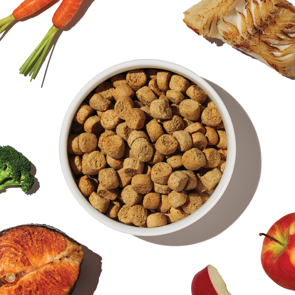 The Honest Kitchen Grain Free Salmon & Whitefish Whole Food Clusters Dry Dog Food