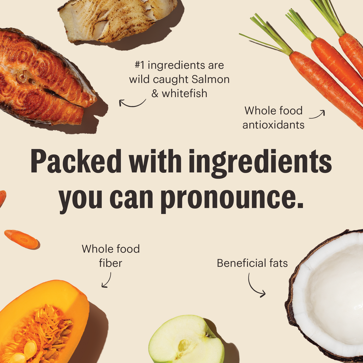 The Honest Kitchen Grain Free Salmon & Whitefish Whole Food Clusters Dry Dog Food