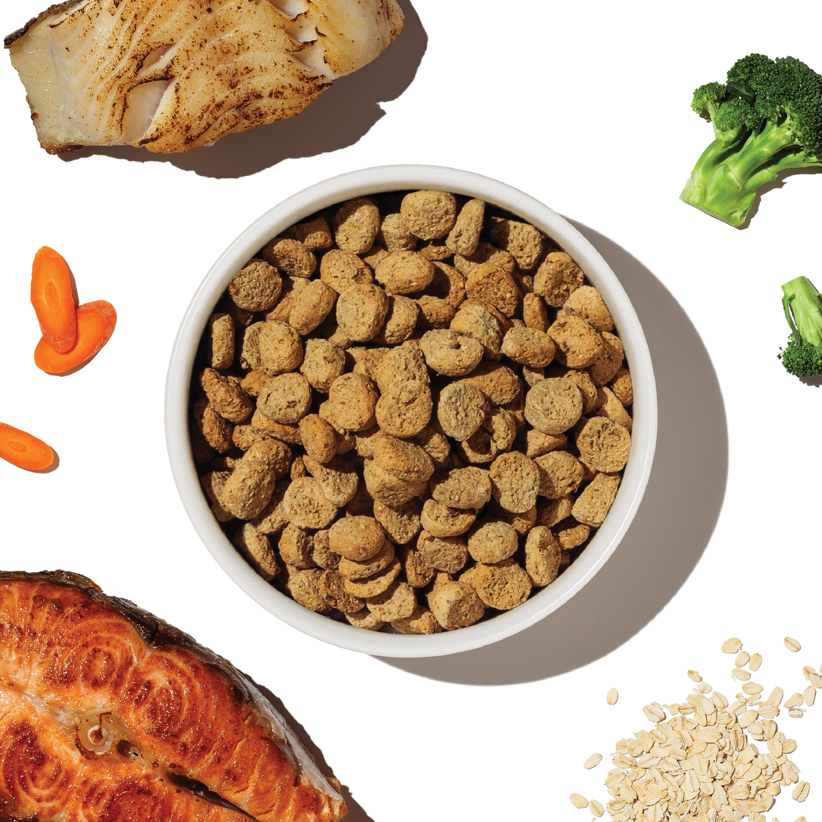 The Honest Kitchen Whole Grain Salmon & Whitefish Whole Food Clusters Dry Dog Food