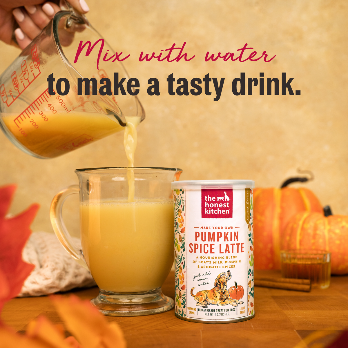 The Honest Kitchen Pumpkin Spice Latte for Dogs