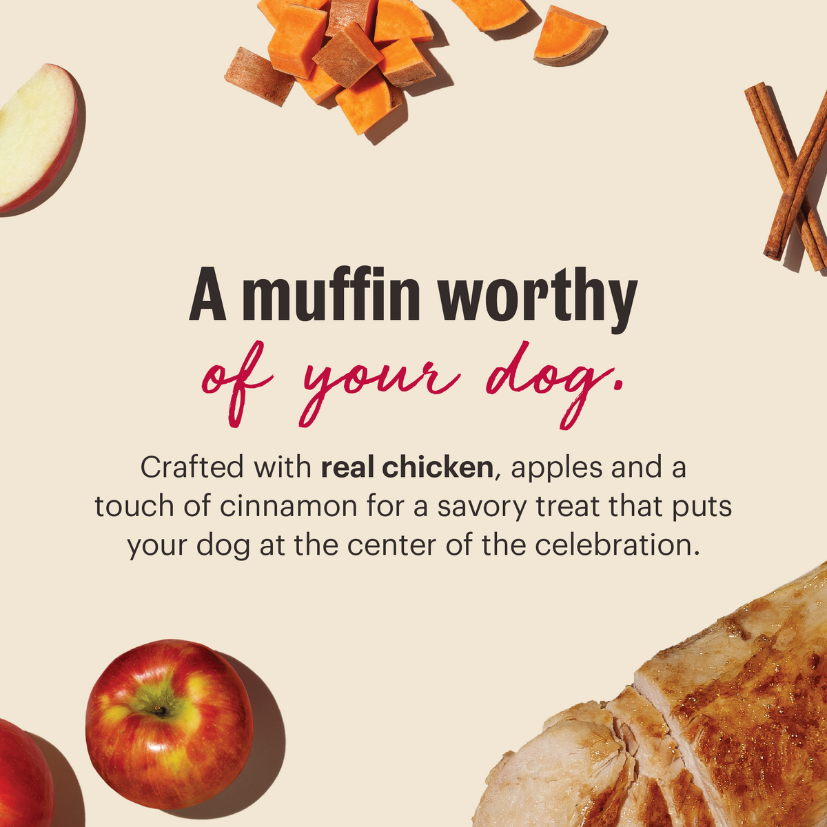 The Honest Kitchen Muffin Mix made with Chicken, Apples & Cinnamon Dog Treats