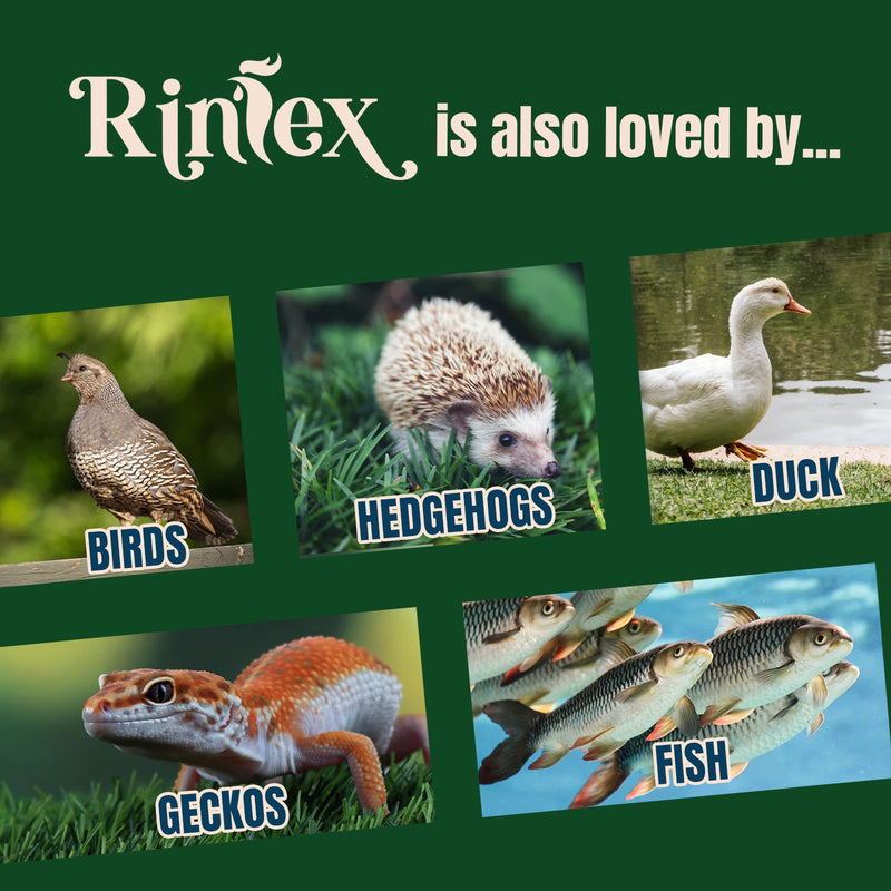 RINLEX 1 Lbs Dried Black Soldier Fly Larvae for Chickens, More Calcium Than Dried Mealworms,Treats for Layer Hens, BSF Larvae for Birds, Chickens, Wild Birds, Reptiles and Ducks