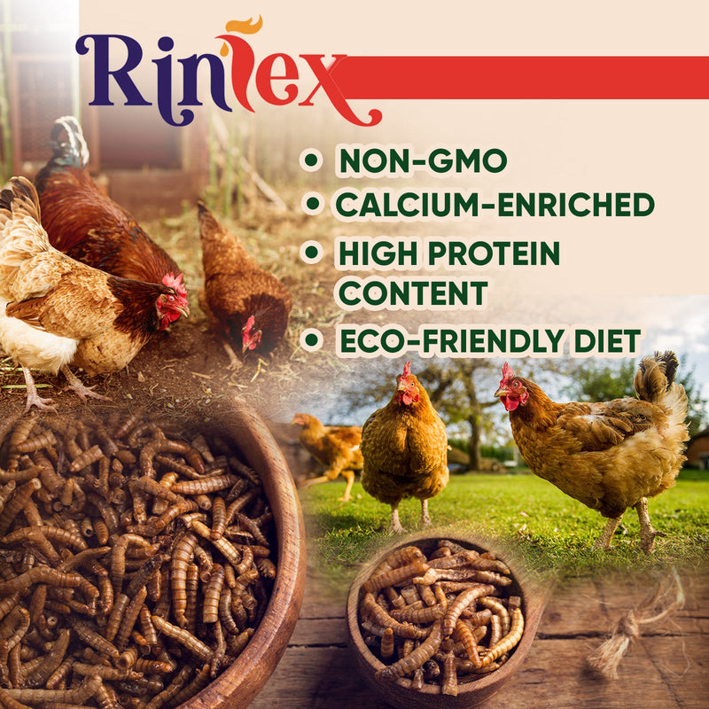 RINLEX 1 Lbs Dried Black Soldier Fly Larvae for Chickens, More Calcium Than Dried Mealworms,Treats for Layer Hens, BSF Larvae for Birds, Chickens, Wild Birds, Reptiles and Ducks