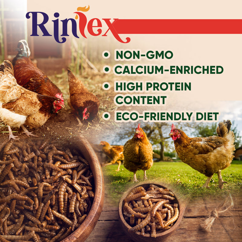 RINLEX 2 Lbs Dried Black Soldier Fly Larvae for Chickens, More Calcium Than Dried Mealworms,Treats for Layer Hens, BSF Larvae for Birds, Chickens, Wild Birds, Reptiles and Ducks