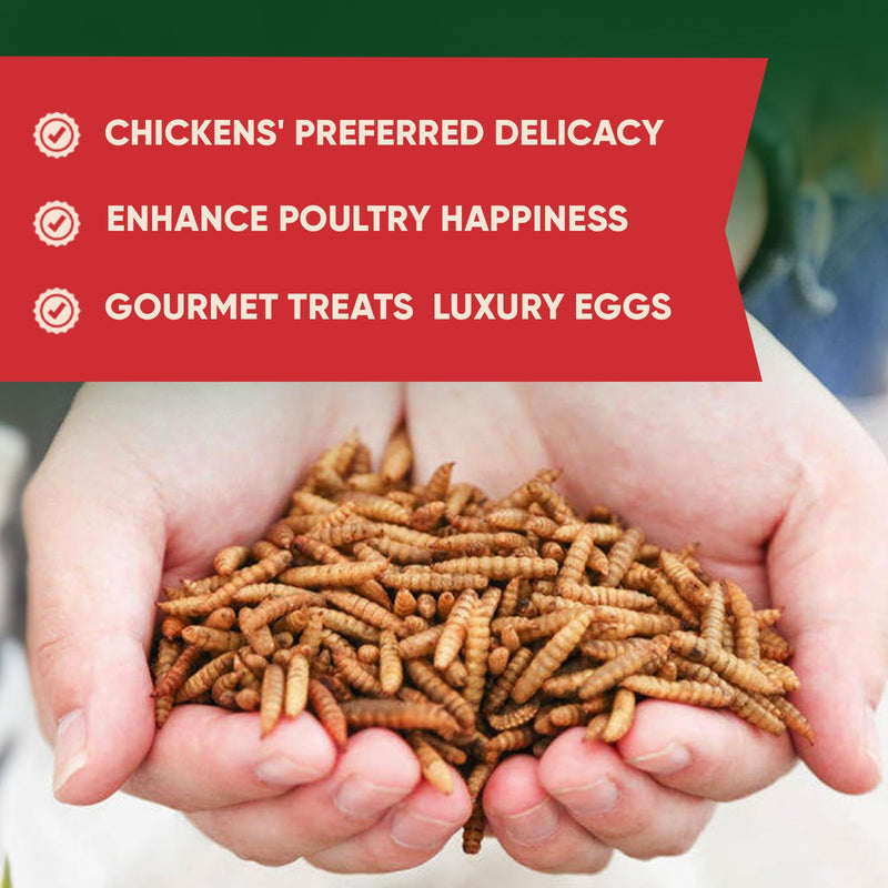 RINLEX 1 Lbs Dried Black Soldier Fly Larvae for Chickens, More Calcium Than Dried Mealworms,Treats for Layer Hens, BSF Larvae for Birds, Chickens, Wild Birds, Reptiles and Ducks