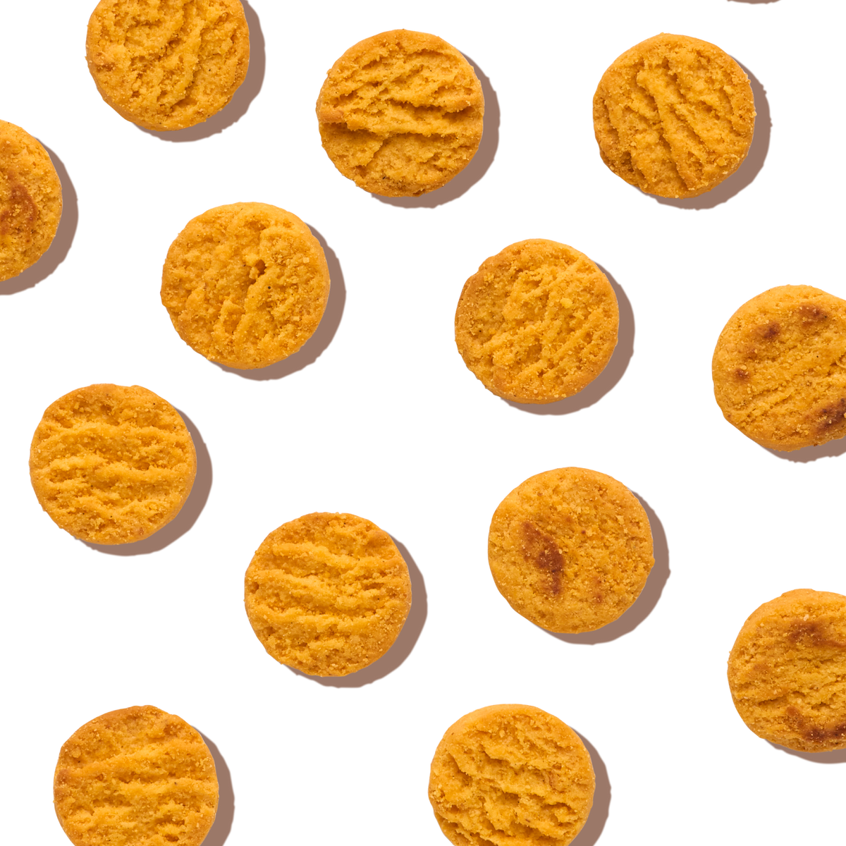 The Honest Kitchen Cheddar Biscuits Dog Treats
