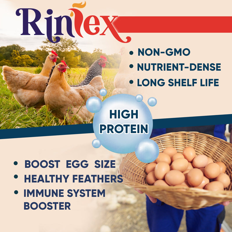 Rinlex Non-GMO Dried Mealworms-High-Protein Mealworms for Wild Bird,Chicken, Ducks,Fish,Reptile, Tortoise, Amphibian,Lizard 2 lb