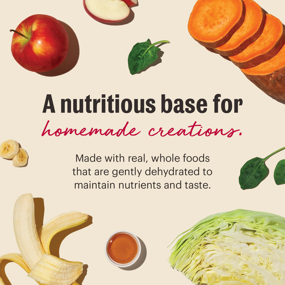 The Honest Kitchen Wholemade Grain Free Fruit & Veggie Base Mix Dehydrated Dog Food