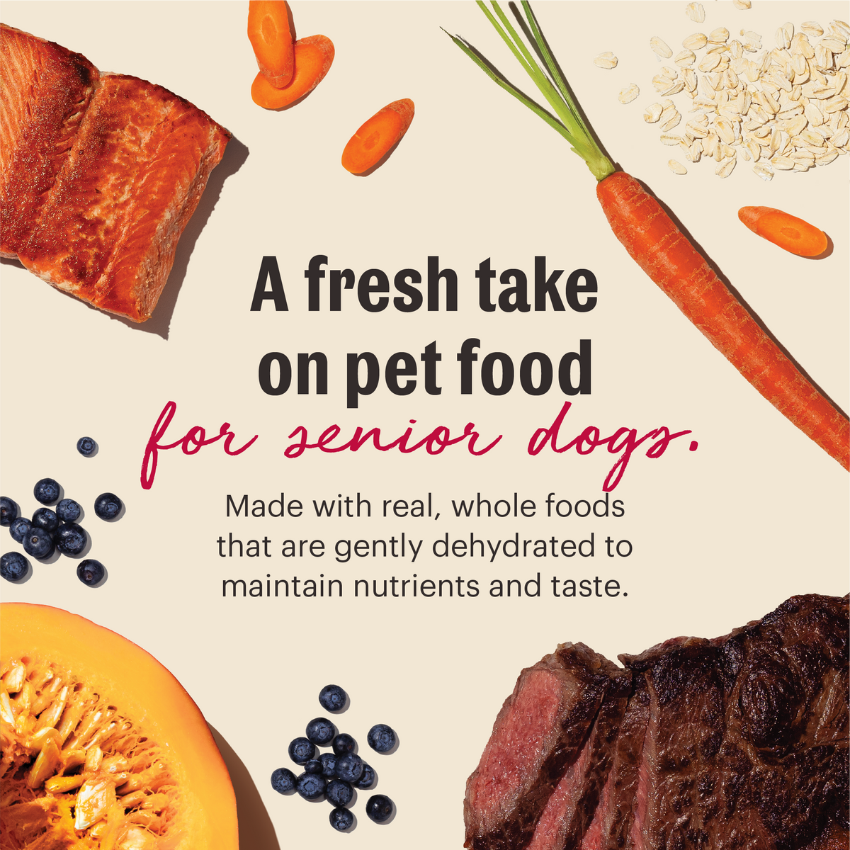 The Honest Kitchen Wholemade Whole Grain Beef, Oat & Salmon Dehydrated Dog Food for Seniors