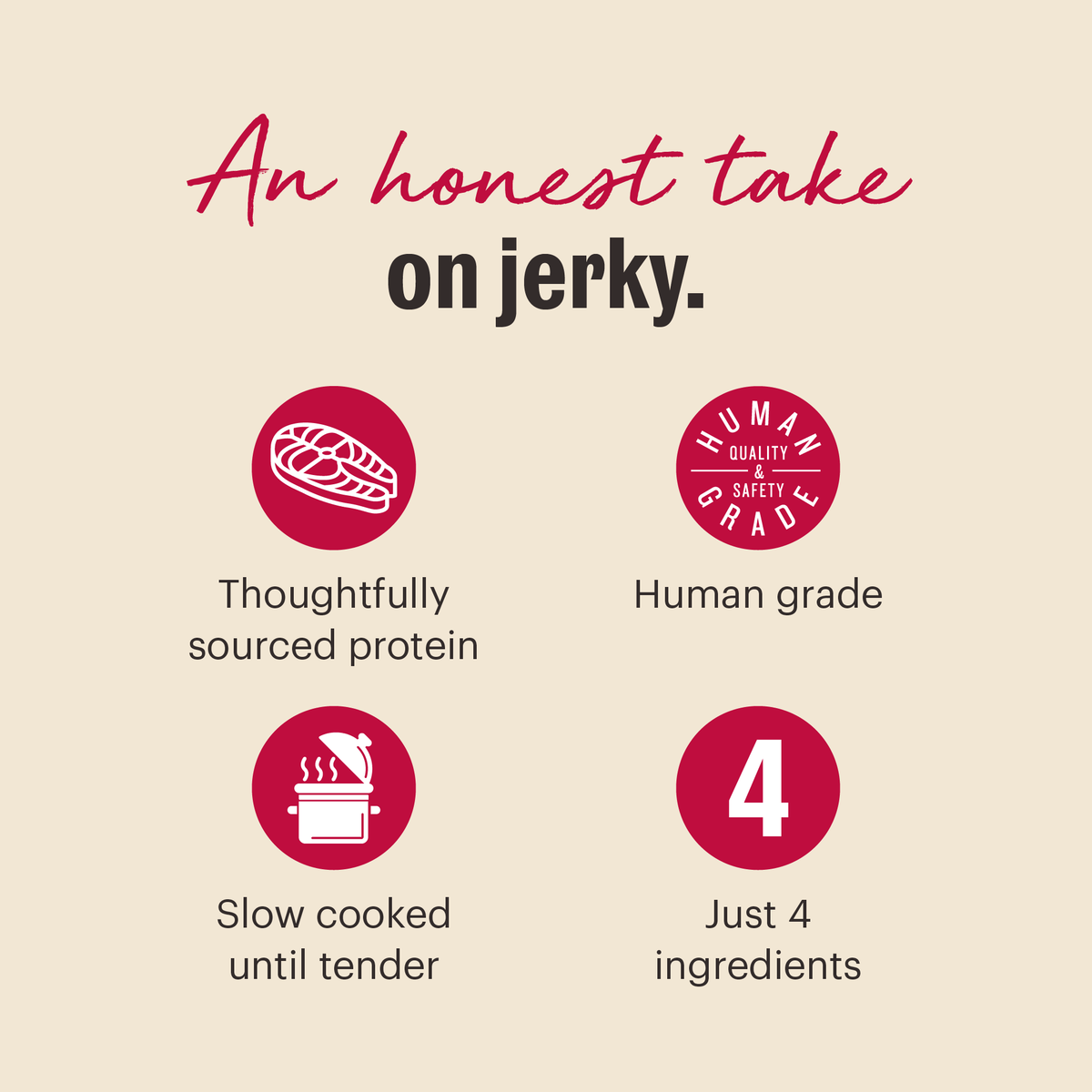 The Honest Kitchen Slow Cooked Salmon Jerky Chews Dog Treats