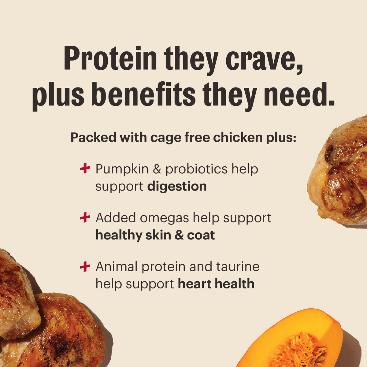 The Honest Kitchen Grain Free Chicken Protein Plus Clusters Dry Dog Food