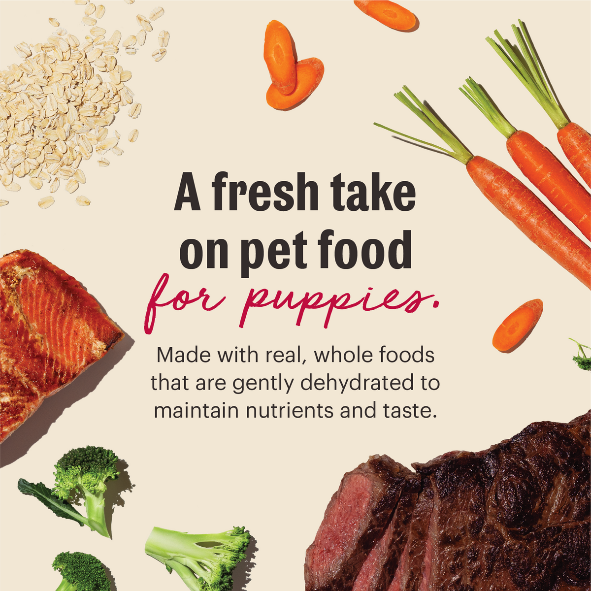 The Honest Kitchen Wholemade Whole Grain Beef & Salmon Dehydrated Dog Food for Puppies