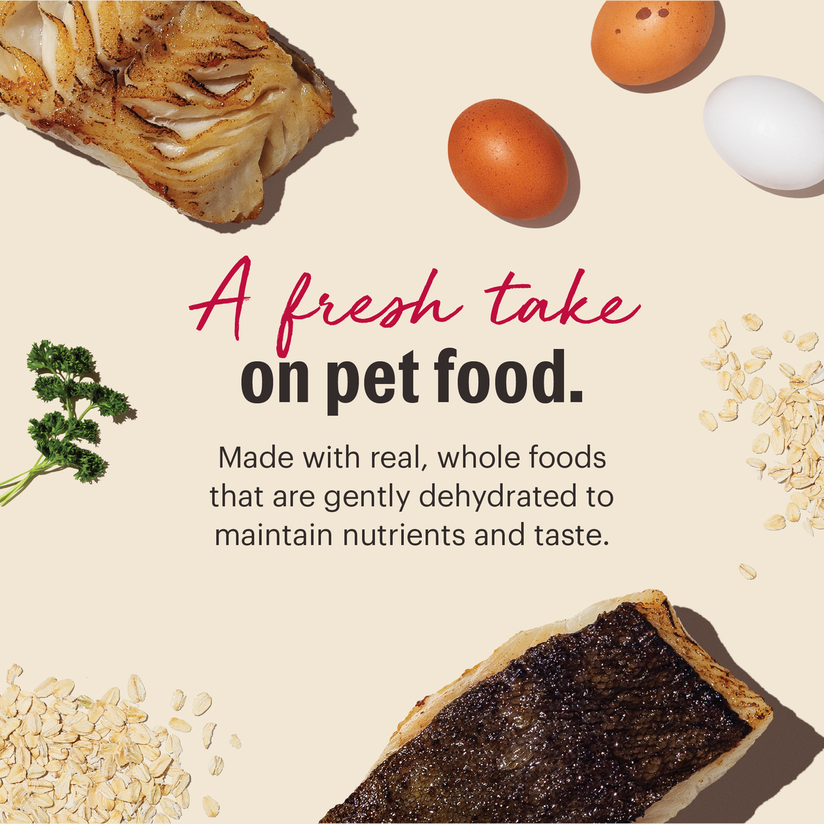 The Honest Kitchen Wholemade Whole Grain Fish & Oat Dehydrated Dog Food